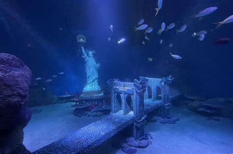 An Interactive, NYC-themed Aquarium Is Opening This Week in the ...