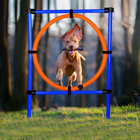 Dog Agility Equipment 3 in1 Pet outdoor training equipment Dog jumping pole circle Dog Obstacle ...