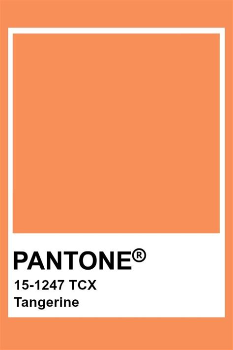 Pantone Tangerine | Kleurenpalet, Kleuren, Pantone