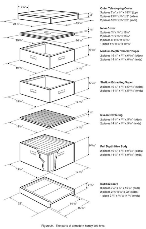 Wooden Components of a Modern Bee Hive – Bee Health