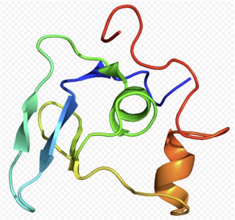 Genomic Sequencing - FBN1 and Marfan Syndrome