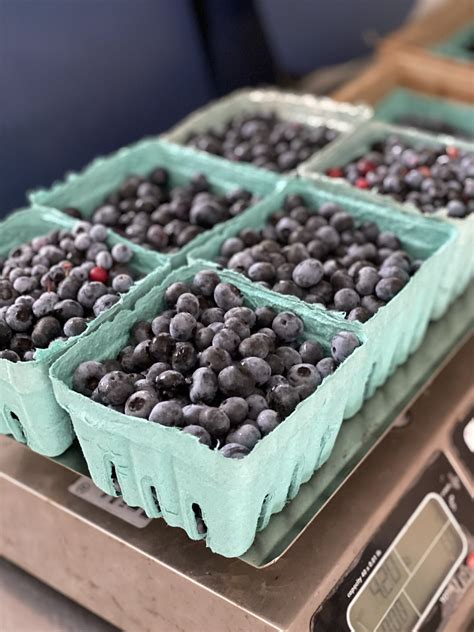 Farm Fresh Blueberries — Valentines Farm