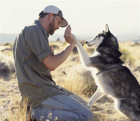 What Does an Animal Trainer Do?