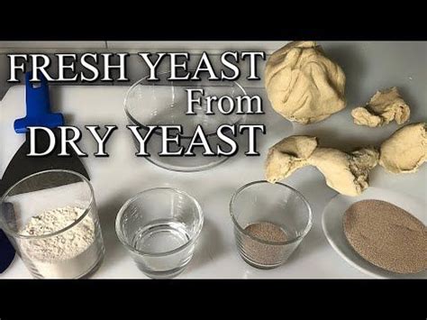 How to Make Fresh Yeast From Dry yeast | Yeast, Dry yeast, Yeast starter