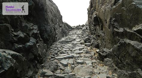 Book tickets to Monsoon Trek to Naneghat Caves