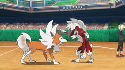 Ash's Lycanroc - Bulbapedia, the community-driven Pokémon encyclopedia