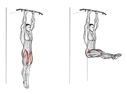 Exercise Database (Abs15) - Hanging Leg Raises — Jase Stuart - The Better Body Coach