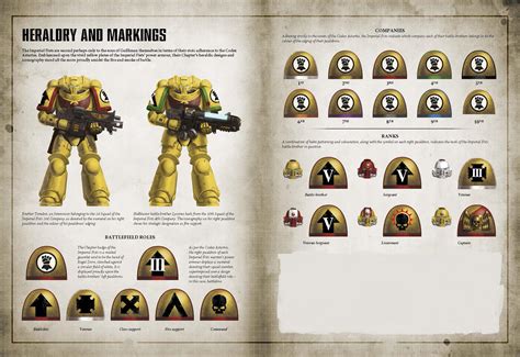 Imperial Fist markings : r/ImperialFists