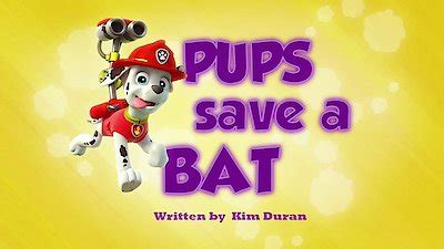 Watch Paw Patrol Season 1 Episode 21 - Pups Save a Bat / Pups Save a ...