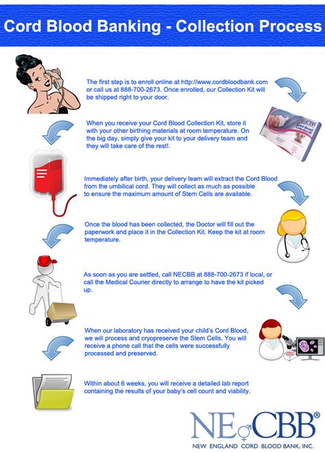 How Easy is the Cord Blood Collection Process? - New England Cord Blood Bank®