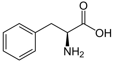 Phenylalanine, DL-Phenylalanine - Functions, Food Sources, Benefits