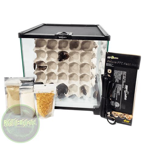 Dubia Roach Breeding Kit | Reptile Deli Inc.