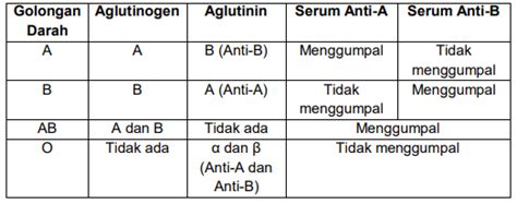 Hasil Tes Golongan Darah Abo Dan Rhesus