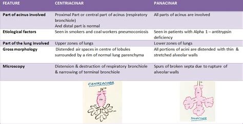 Differences between centriacinar and panacinar emphysema ...