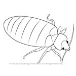 Learn How to Draw a Bed Bug (Insects) Step by Step : Drawing Tutorials