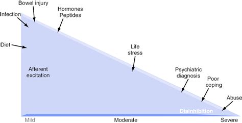 Brain-gut influences on symptom severity. This figure conceptualizes ...