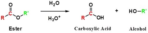Acid Catalyzed Hydrolysis of Esters (II) - Chemistry LibreTexts
