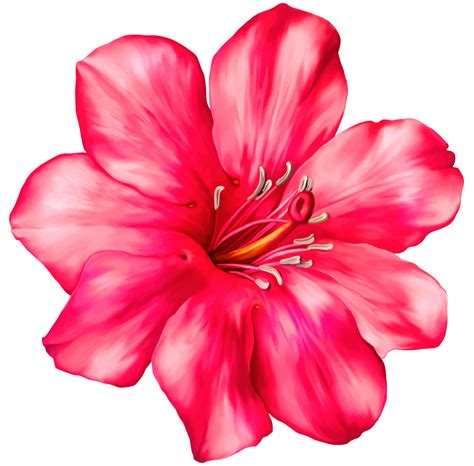 Flower PNG Transparent Flower.PNG Images. | PlusPNG