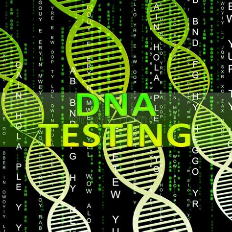 Dna Testing Shows Genes Research 3d Illustration Stock Illustration ...