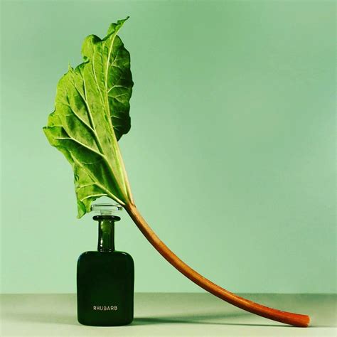 Rhubarb by Perfumer H » Reviews & Perfume Facts