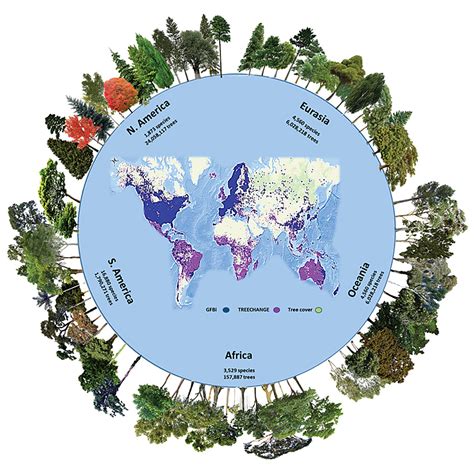 First-of-its-kind estimate of the total number of tree species - Purdue ...