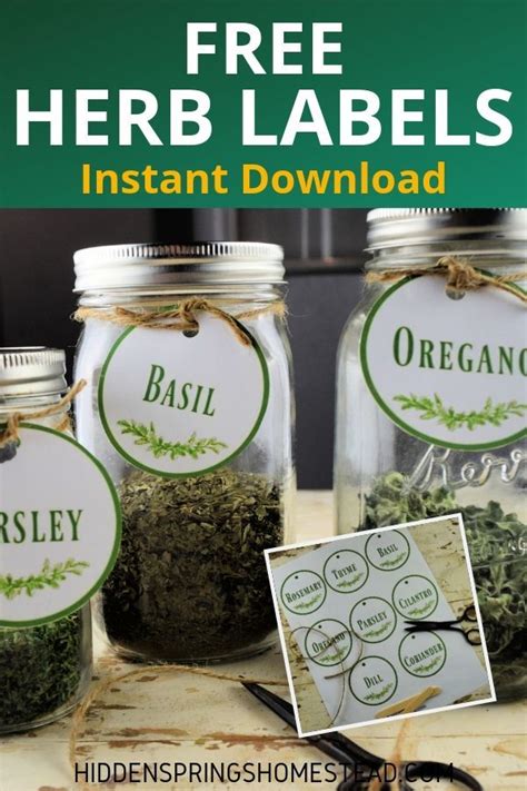 Free Printable Herb Labels - Instant Access | Herb labels, Herb containers, Drying herbs