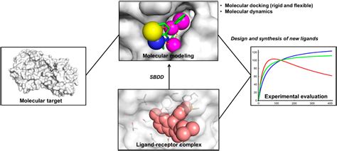 Molecules | Free Full-Text | Molecular Docking and Structure-Based Drug ...