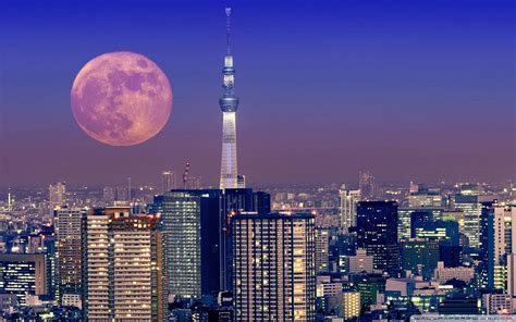 Tokyo Japan Wallpapers - Top Free Tokyo Japan Backgrounds - WallpaperAccess