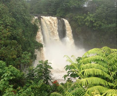 Rainbow Falls, Hilo - Hawaii Reporter