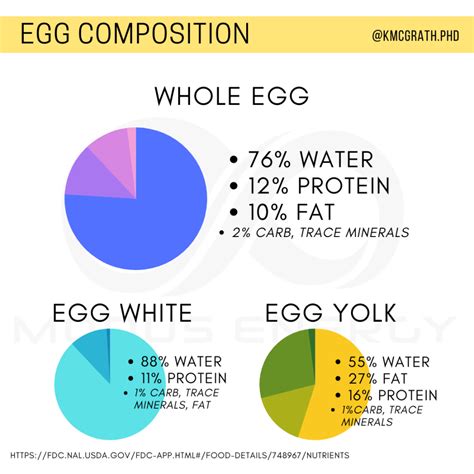 Egg and Egg White Nutrition - Modus Energy Nutrition Coaching