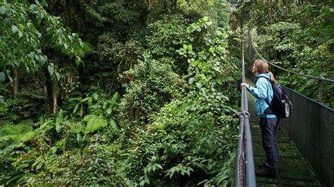 Costa-Rica-Cloud-Forest - AMA