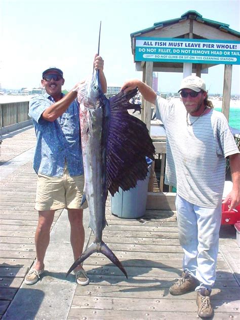 The Pensacola Beach Fishing Pier & Observation Post