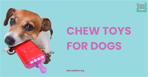 Best Chew Toys for Dogs: Top Picks for Aggressive Chewers