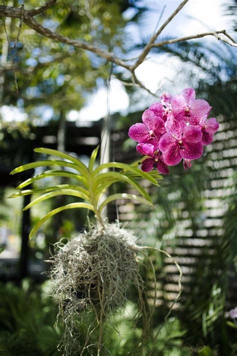 Naples Botanical Garden – Being down south this botanical garden was filled with tropical plants ...