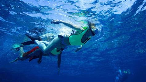 Reef Snorkeling in Key West with Fury Water Adventures