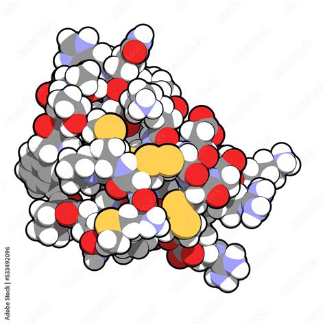 Chlorotoxin scorpion toxin. Peptide toxin present in deathstalker ...