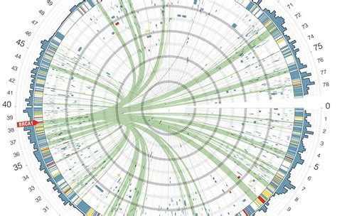 Data visualization | Pearltrees