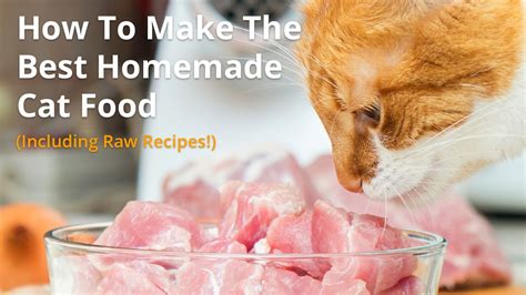 Best Homemade Cat Food Recipes | Raw or Cooked, Make Your Own!