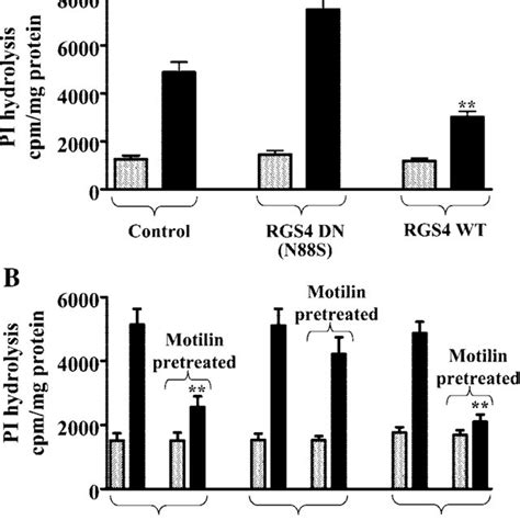 Motilin-induced phosphorylation of MYPT1 and CPI-17. Dispersed | Download Scientific Diagram