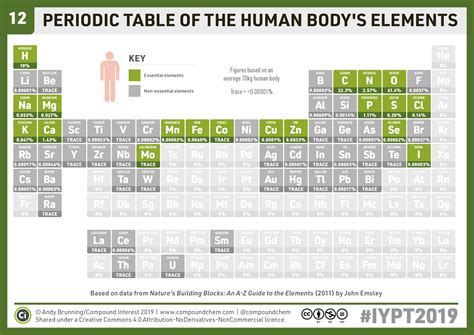 Compound Interest: 12 – Periodic Table of the Human Body’s Elements