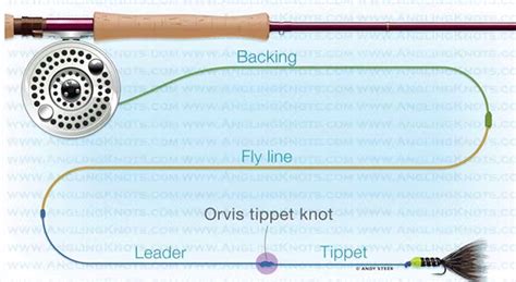 Video Tip: How to Tie the Orvis Tippet Knot | Fly fishing, Fish and ...