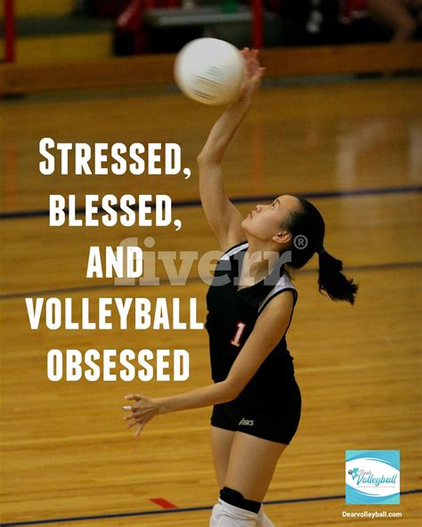 Funny Beach Volleyball Quotes - ShortQuotes.cc