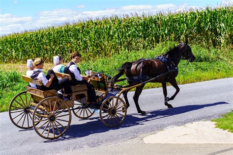 Largest Amish Communities In The United States - WorldAtlas