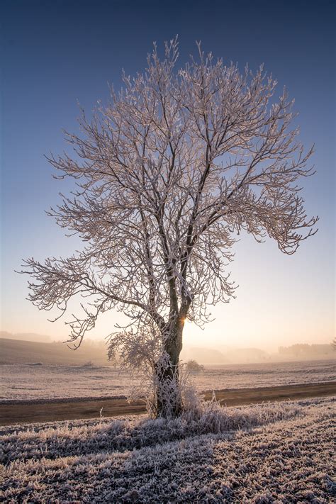 How to Photograph Winter Landscapes