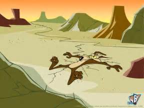 wile e coyote cartoon 1024 picture, wile e coyote cartoon 1024 wallpaper