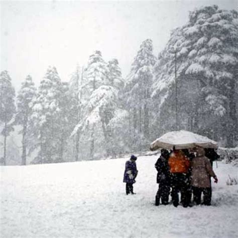 PICS: Fresh snowfall in Himachal Pradesh covers the state with white ...