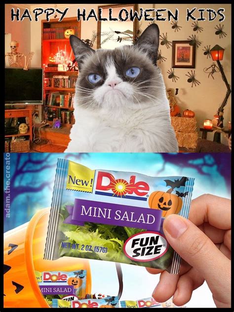 Pin by Heather Jayne on Grumpy cat | Happy halloween kids, Happy ...