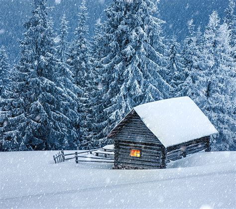 Winter Hut, fir tree, house, hut, snow, winter, HD wallpaper | Peakpx