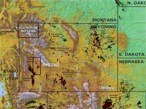 New long-term study shows 40% decline in native Wyoming deer population due to oil and gas ...