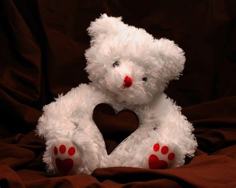 Valentine s Teddy Bear Wallpaper Valentines Day Holidays Wallpapers in ...